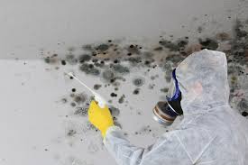 Biohazard Mold Removal in Greenville, GA